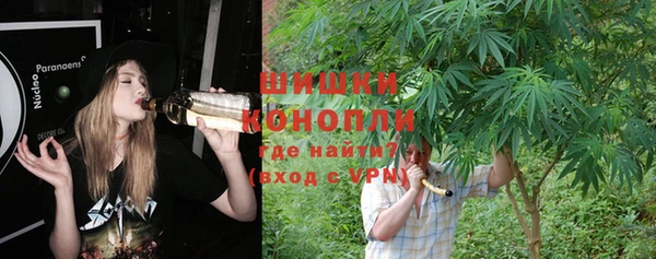 mdma Бородино