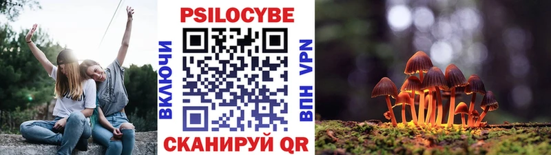 hydra зеркало  Каспийск  Псилоцибиновые грибы Cubensis 